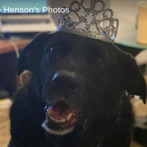 Meet your Posher, Sabrina - Picture 7 of 7